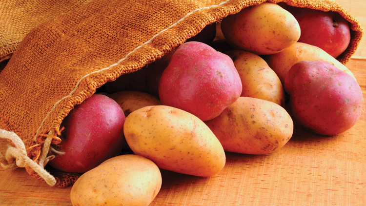 Picture of Red or Yukon Gold Potatoes