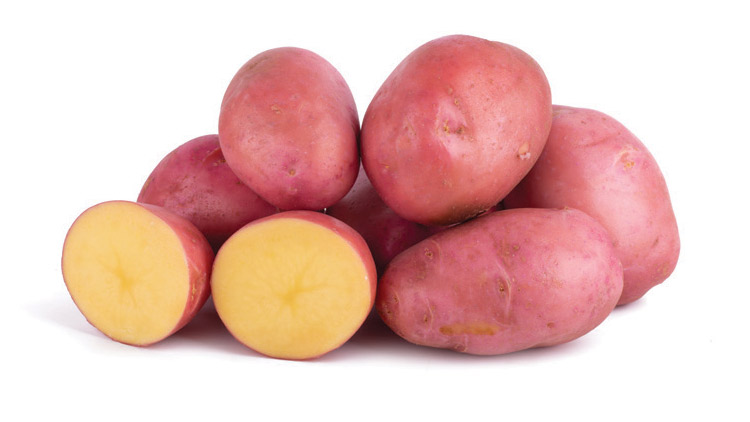 Picture of Fresh Red Potatoes