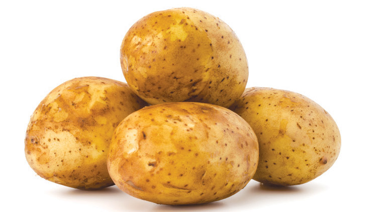 Picture of Russet Baking Potatoes