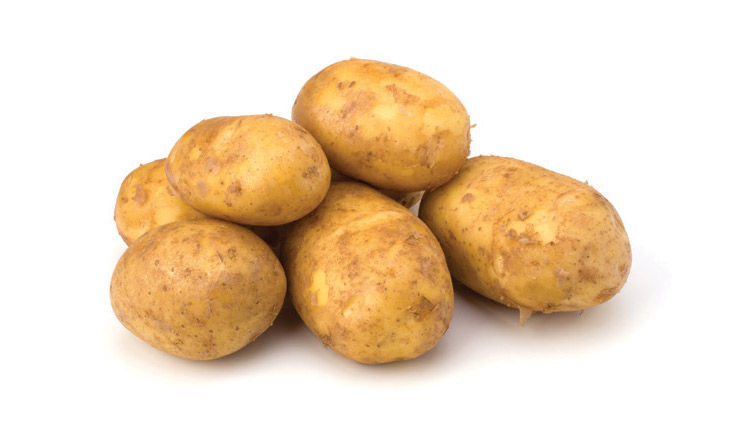 Picture of Bulk Russet Potatoes
