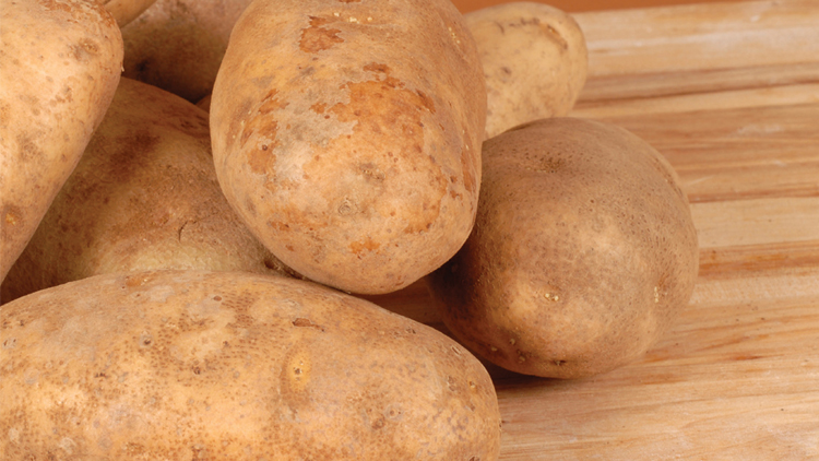 Picture of Best Choice Russet Potatoes