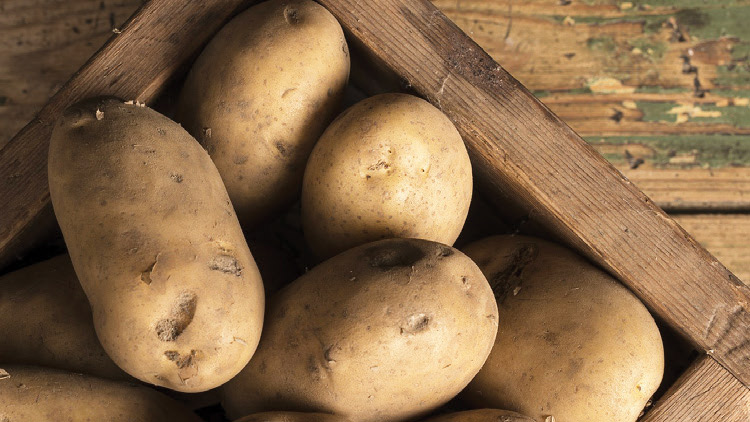 Picture of Best Choice Russet Potatoes