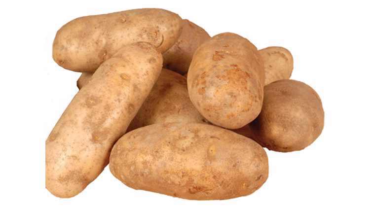 Picture of Large Idaho Baking Potatoes or Sweet Potatoes