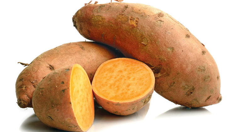 Picture of Yams