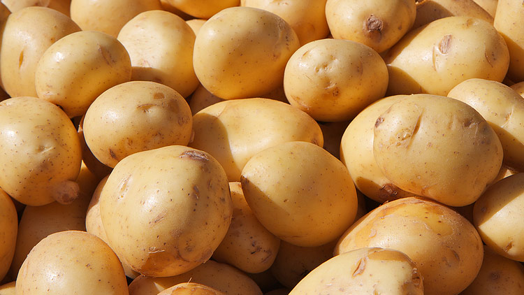 Picture of Gold Potatoes
