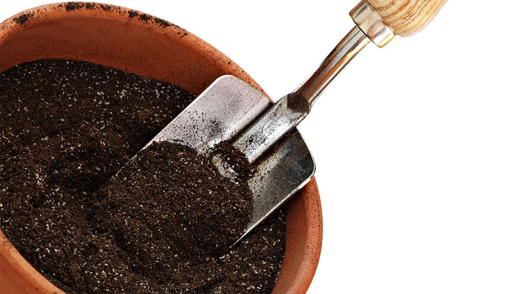 Picture of Miracle-Gro Flower & Plant Potting Mix