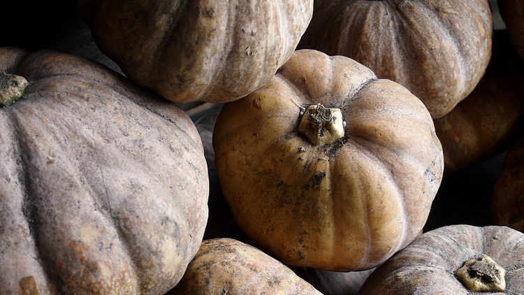 Picture of Calabaza Pumpkin Squash