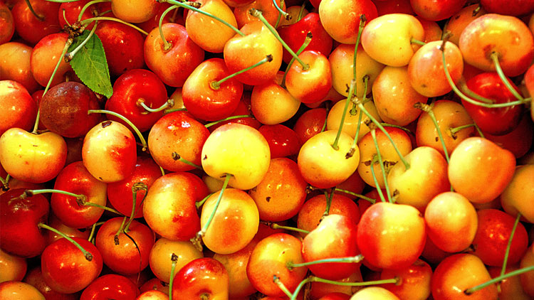 Picture of Rainier Cherries
