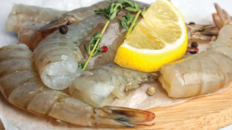 Picture of Newport EZ Peel Raw Shrimp
