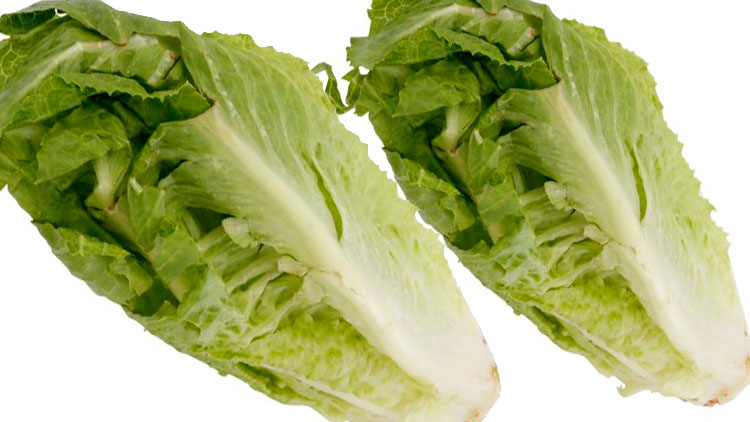 Picture of Crisp Celery Heart or Romaine Hearts