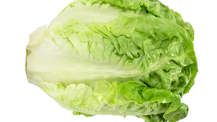 Picture of Fresh Romaine Hearts