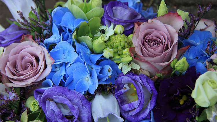 Picture of Triple Blue or Fairy Dust Rose Bouquet