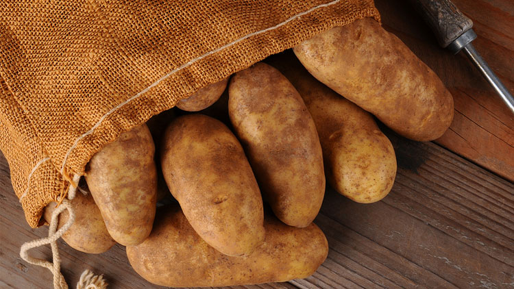 Picture of Russet Potatoes