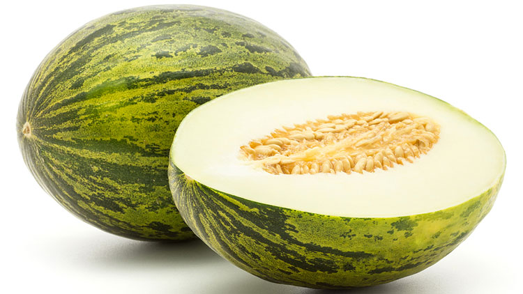 Picture of Hami or Santa Claus Melons