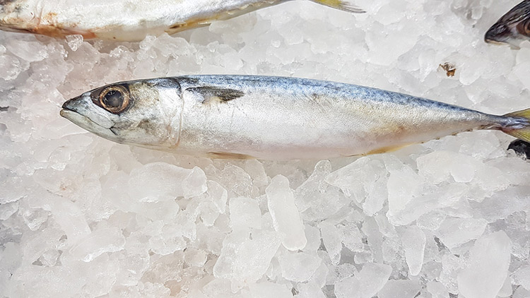 Picture of Whole Sardines