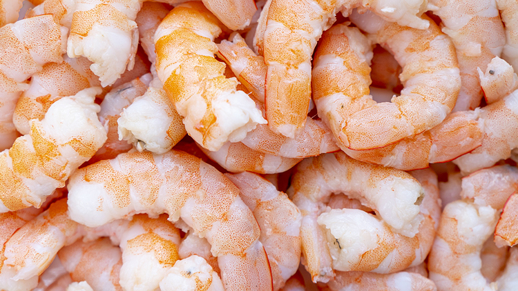 Picture of Censea Broken Cooked Shrimp