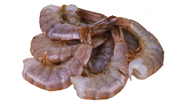Picture of Headless Gulf Shrimp