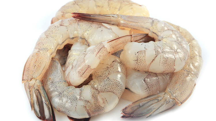 Picture of Censea EZ Peel Raw Shrimp