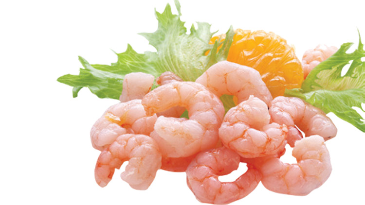 Picture of Newport Peeled & Deveined Tail-Off Raw Shrimp