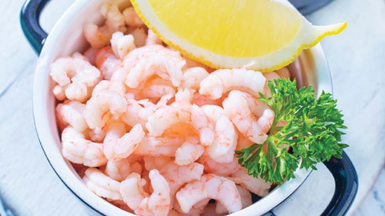 Picture of Fresh Cooked Salad Shrimp