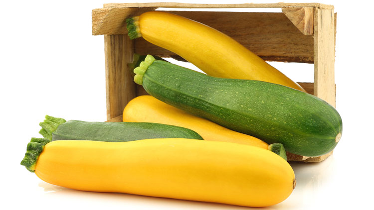 Picture of Zucchini or Yellow Squash