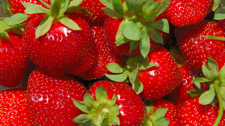 Picture of Sweet Strawberries
