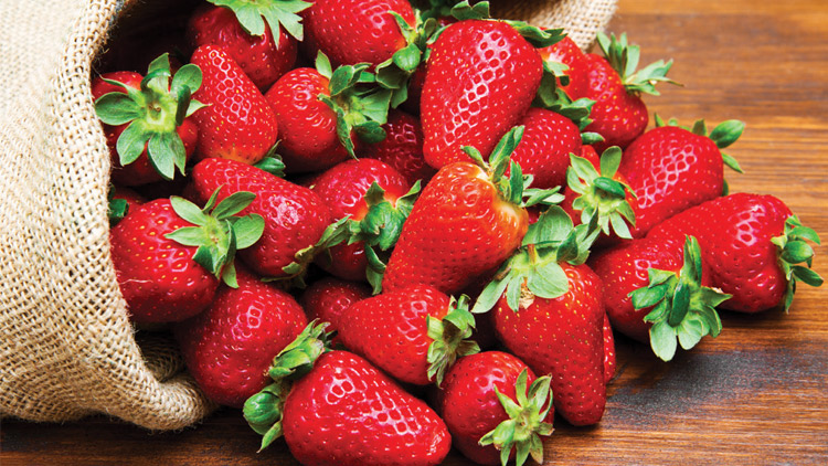 Picture of Fresh Strawberries