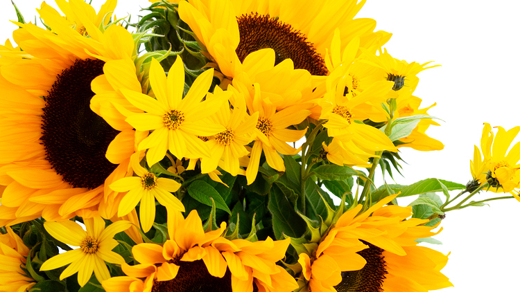Picture of Vibrant Summer Bouquet