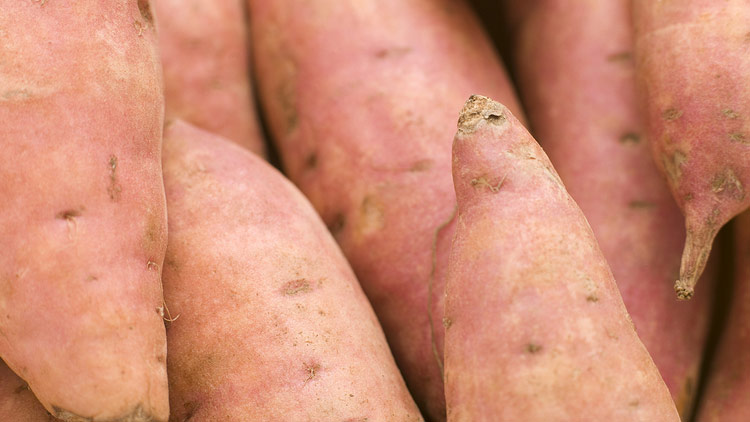 Picture of Sweet Potatoes