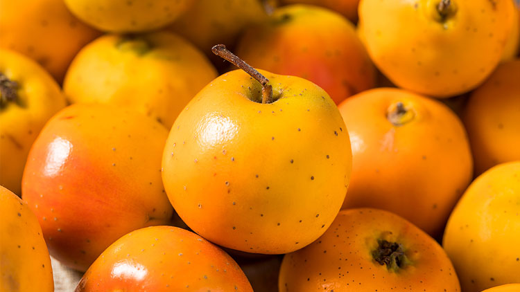 Picture of Fresh Tejocote