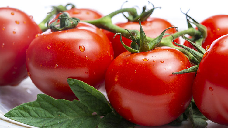 Picture of Tomatoes on the Vine