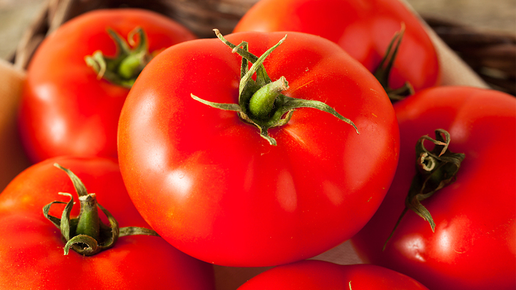 Picture of Medium Round Tomatoes
