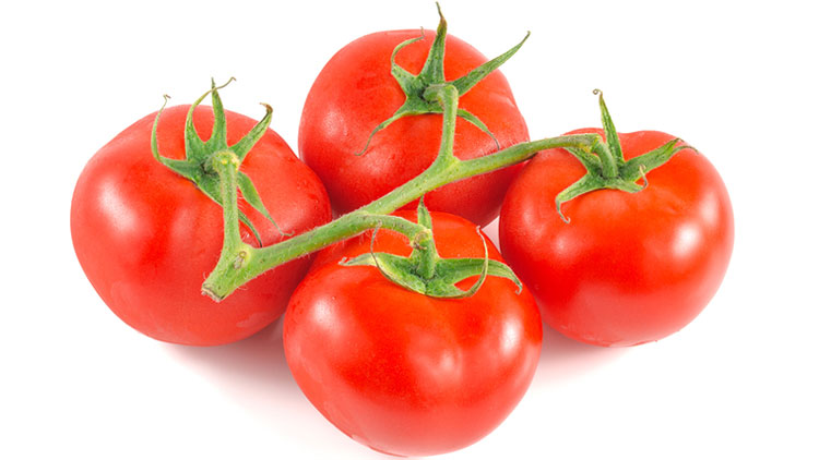 Picture of Tomatoes On The Vine