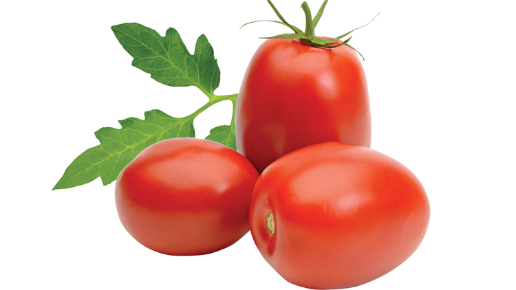 Picture of Fresh Roma Tomatoes