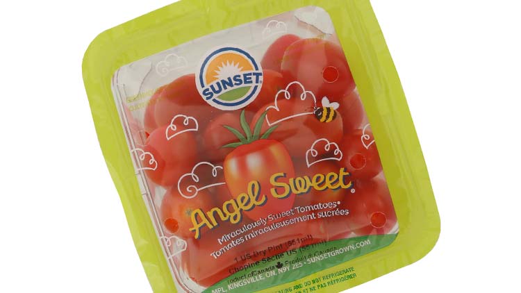 Picture of Sunset Angel Sweet Tomatoes