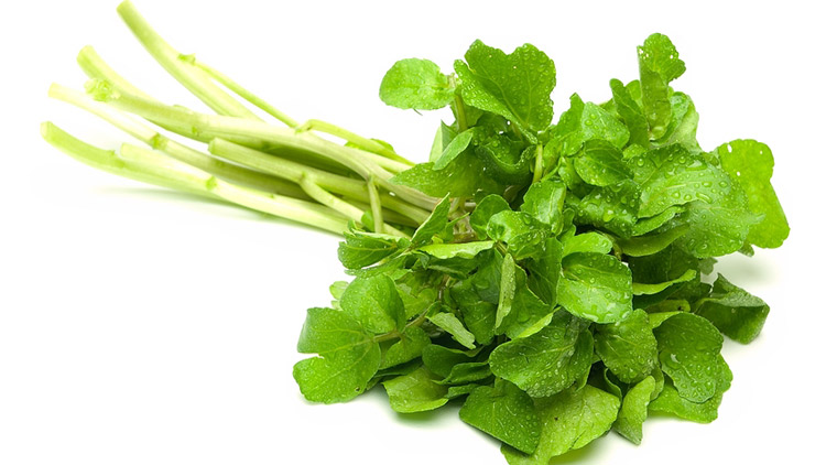 Picture of Fresh Watercress