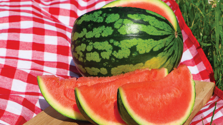 Picture of Whole Seedless Watermelon
