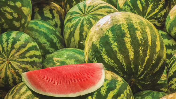 Picture of Whole Seedless Watermelon