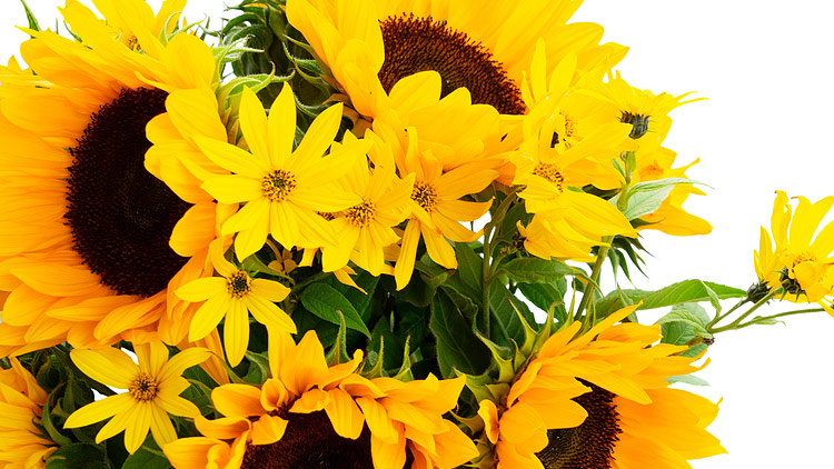 Picture of Sweet Lemonade Bouquet 