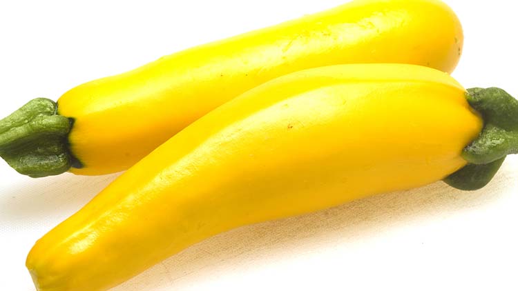 Picture of Yellow Squash